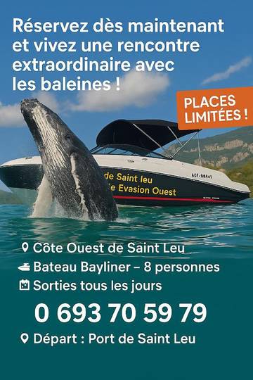 Gîte pour 2 personnes, avec jardin dans Plage de Saint-Leu