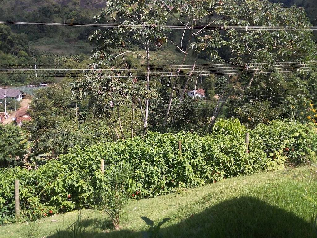 Miete Chacara - Andrea in Nova Friburgo, Rio de Janeiro (Bundesstaat)