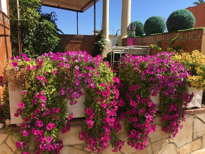 Apartamento para 4 personas, con Balcón y Terraza además de Piscina y Vistas en Las Lagunas
