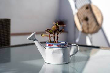 Apartamento para 2 Personas en Melegís, El Valle, Foto 2
