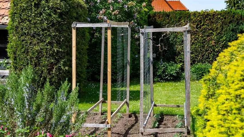 Ferienwohnung für 3 Personen, mit Garten in Güstrow - 4