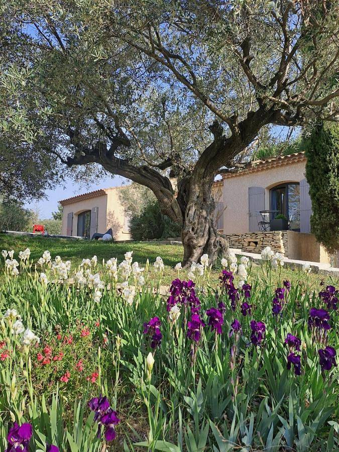 Location de vacances pour 8 personnes, avec terrasse et piscine à Langlade - 3