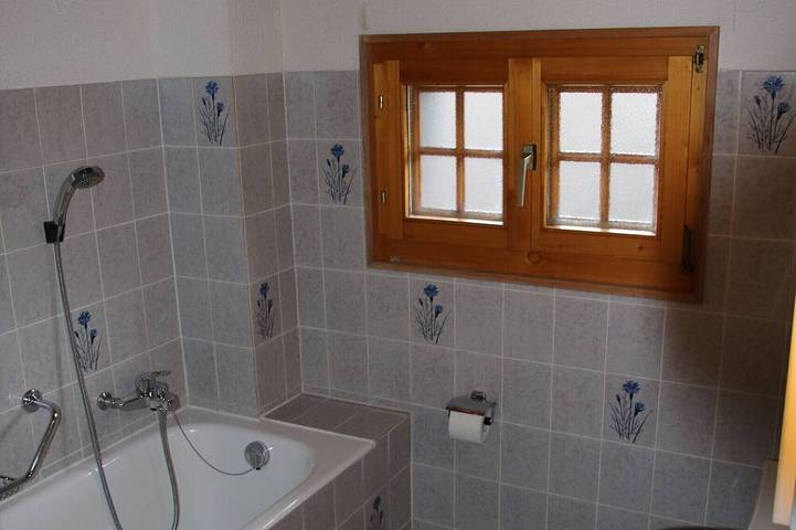 Appartement entier, Mayens de l'Ours Dz 130 - Mountain apartment 8 per in Salins (Sion), Sion