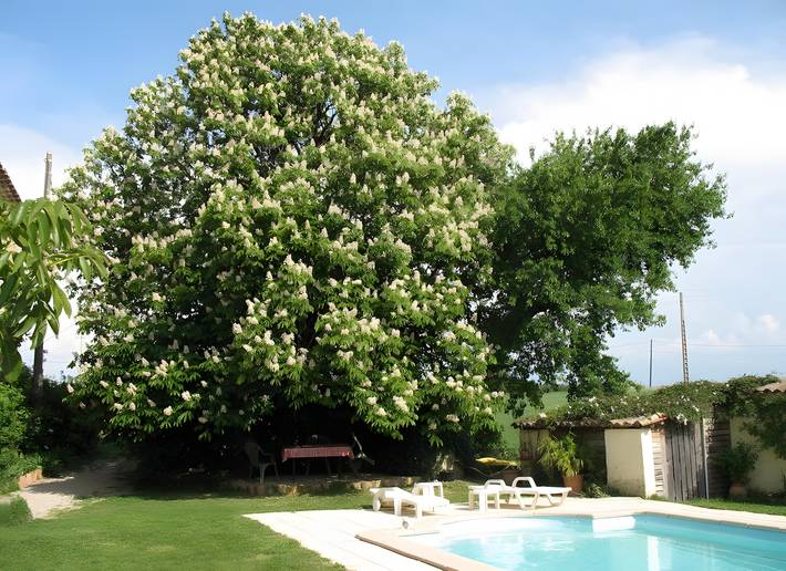 Appartement de vacances pour 4 personnes, avec jardin dans la Drôme - 2