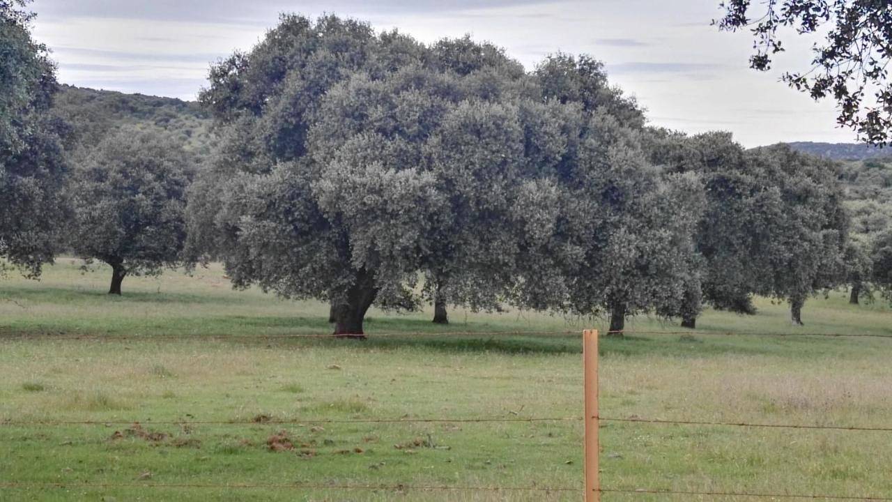 Vivienda Turística Alojamiento Rural El Trillo in Los Panchez, Fuente Obejuna