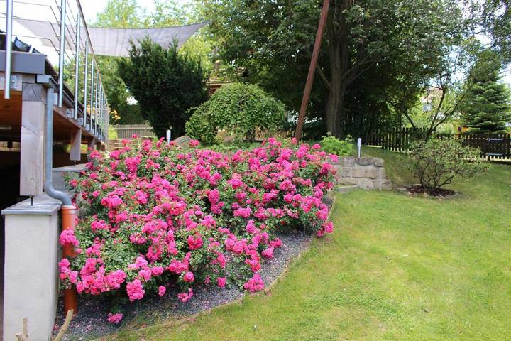 Ferienhaus für 11 Personen, mit Sauna und Terrasse sowie Garten, mit Haustier in Bad Schandau - 2
