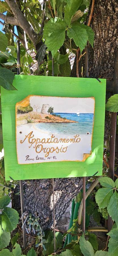 Gîte pour 6 personnes, avec balcon à Santa Maria Navarrese - 2