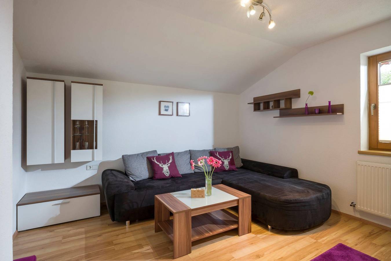 Ganze Ferienwohnung, Appartement Bergblick in Uderns, Ski-Optimal Hochzillertal