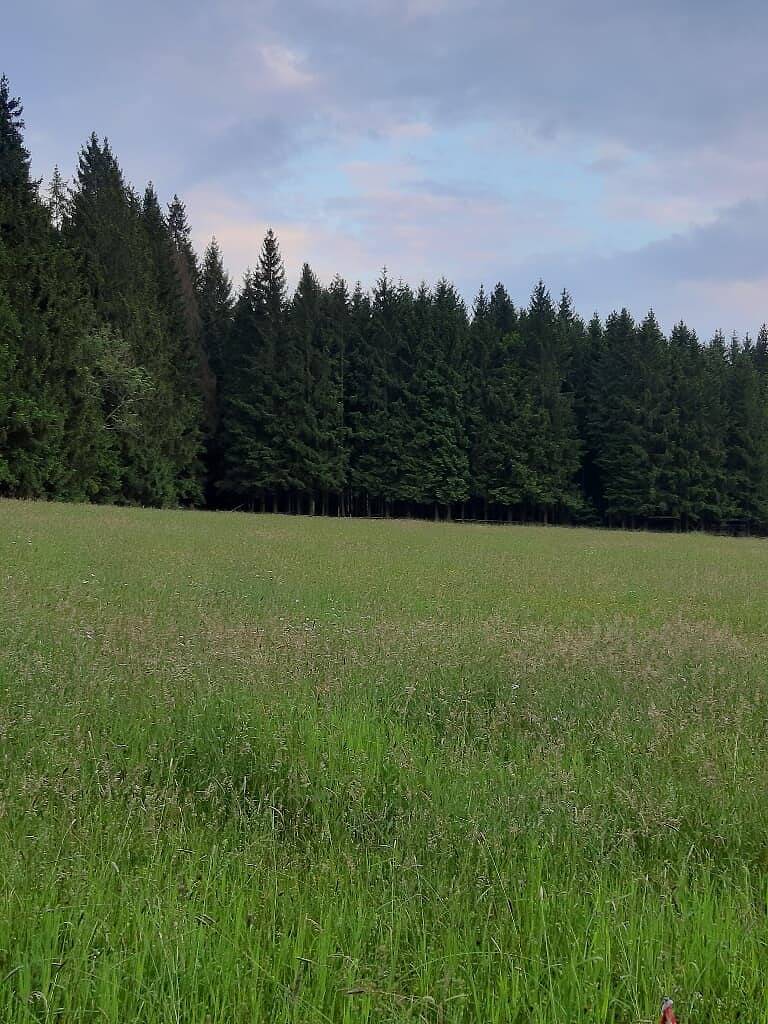 Ferienwohnung Völkl - Ferienwohnung  Völkl 65 m² in Tännesberg, Naturpark Nördlicher Oberpfälzer Wald