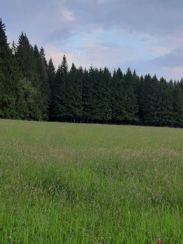 Ferienwohnung für 4 Personen in Landkreis Neustadt an der Waldnaab