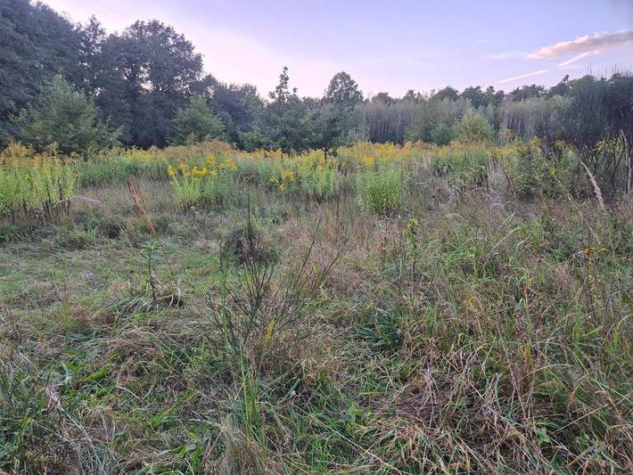 Kemping dla 4 osób, z widok i ogród w Śląsk