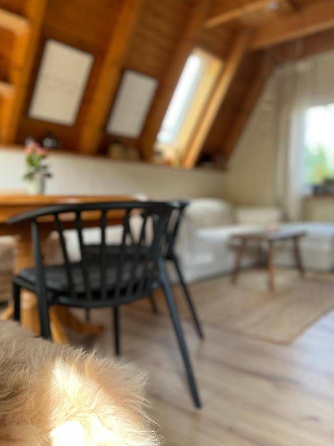 Kleines Chalet im Erzgebirge mit Sauna und Kamin in Rechenberg-Bienenmühle, Chemnitz und Umgebung