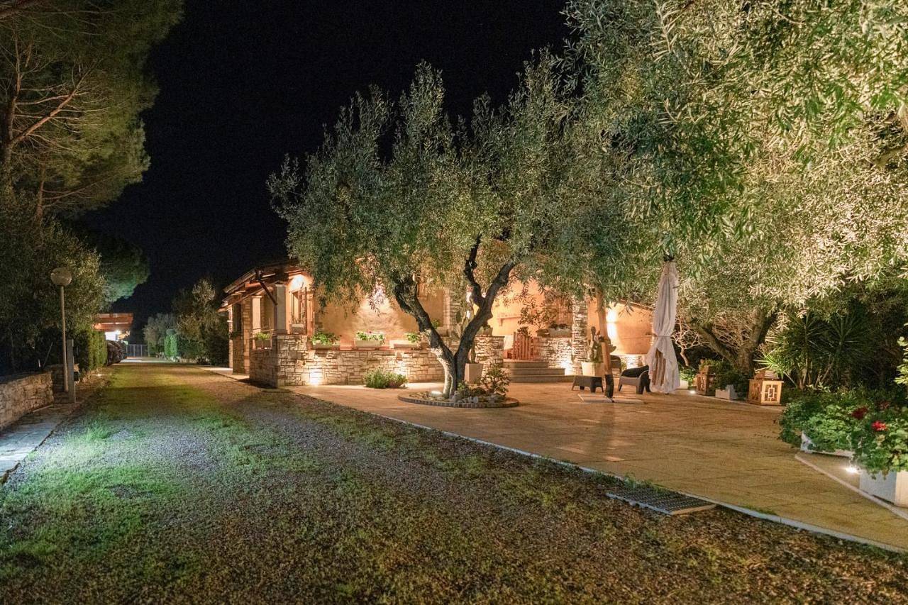 L'antica quercia in Andria, Parco nazionale dell'Alta Murgia