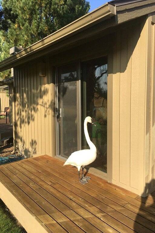 Ganze Wohnung, Beste Sicht in Sunriver, unschlagbare Sonnenuntergänge! in Sunriver, Deschutes County