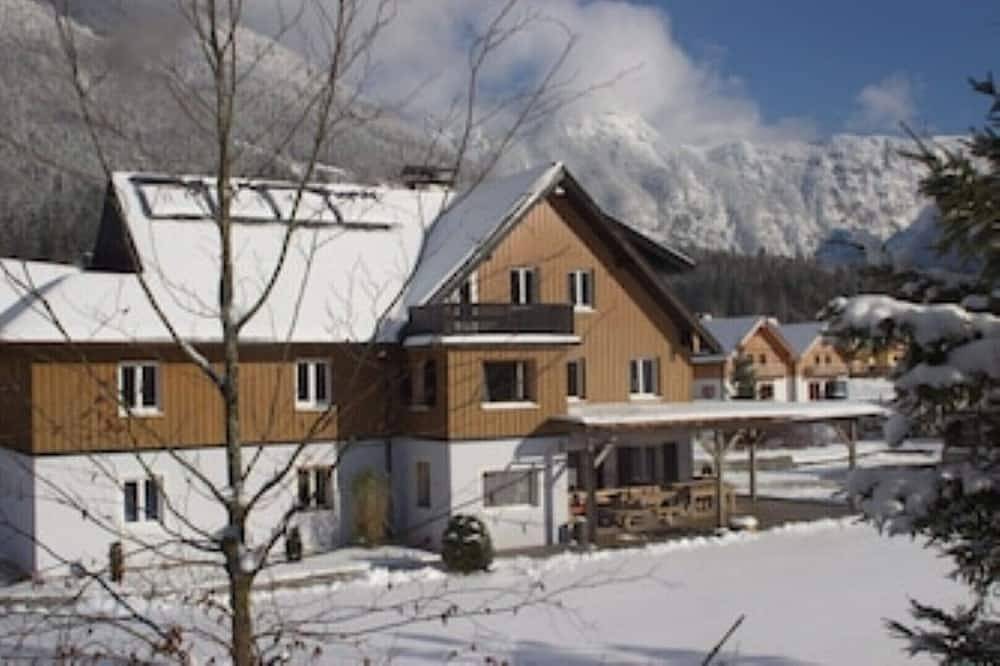 Country house by the lake - Salzkammergut, 100 m to the beach in Obertraun, Dachstein Salzkammergut