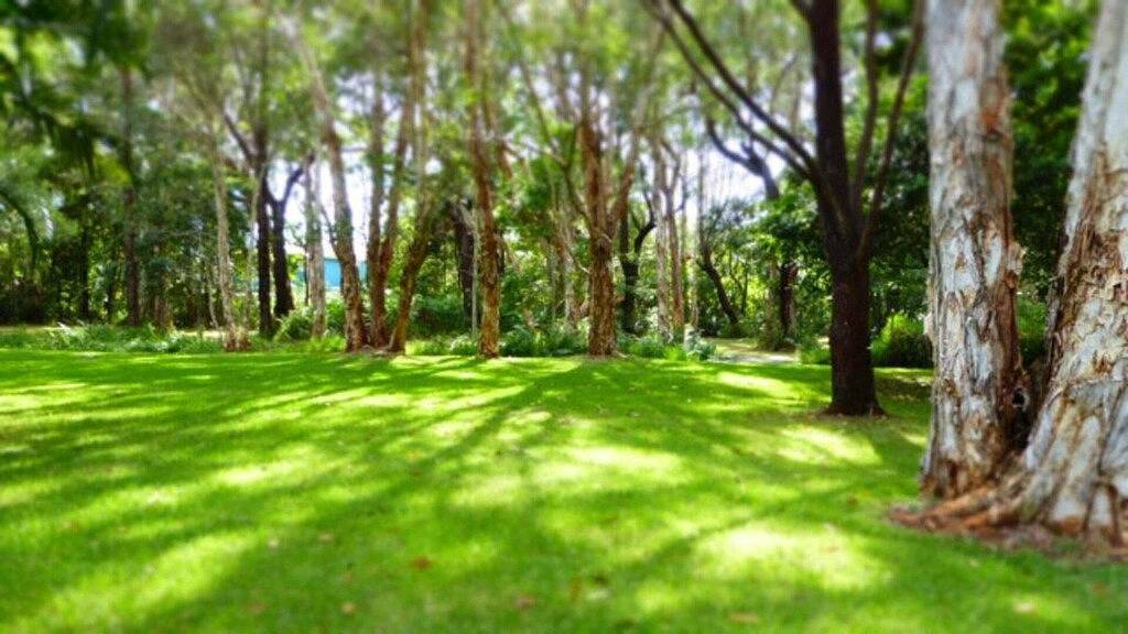 Boomerang Hideaway - auf einer ruhigen Fläche in Boomerang Beach, New South Wales