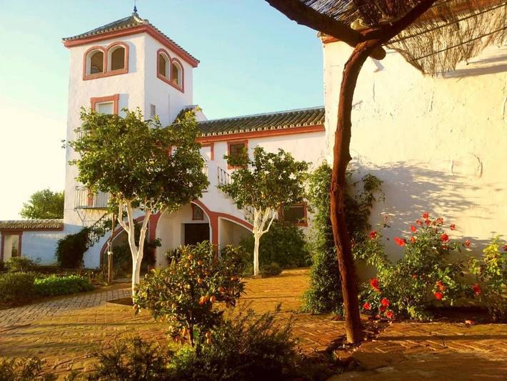 Casa rural para 18 personas, con piscina además de jardín y vistas en Carmona  - 4