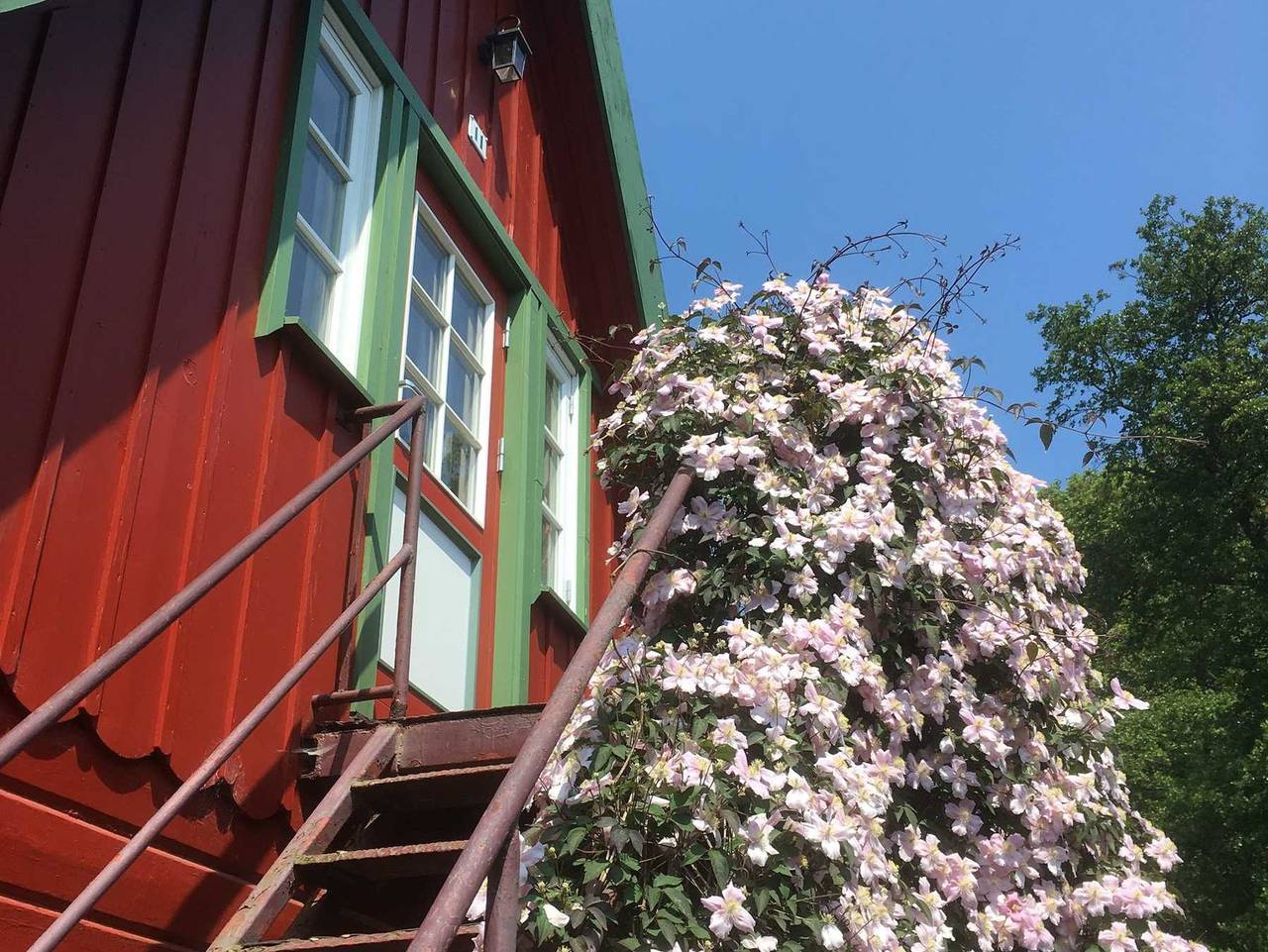Ganze Ferienwohnung, Reetdach - Promenadenblick - 500m zum Strand - Reetdach Fewo in Prerow, Fischland - Darß - Zingst