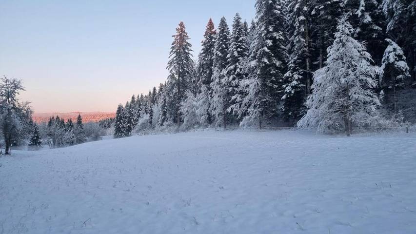 Appartement de vacances pour 5 personnes, avec vue, animaux acceptés