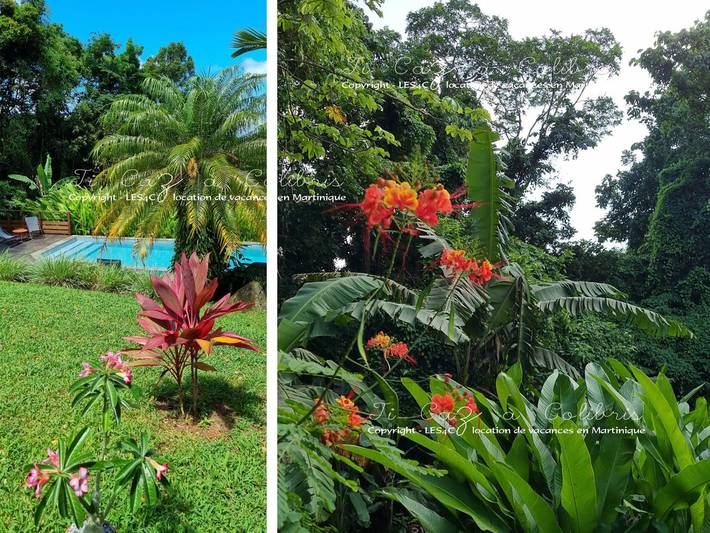 Location de vacances pour 6 personnes, avec jardin ainsi que piscine et terrasse à Rivière-Salée - 4