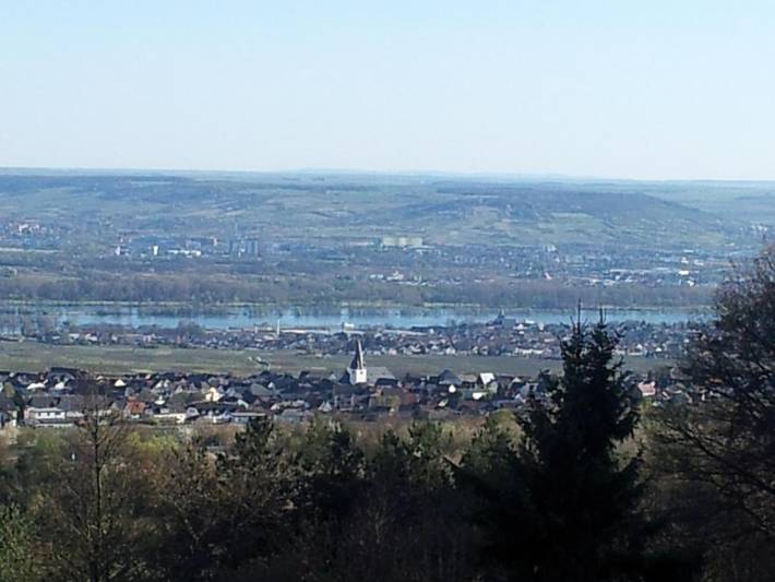 Gîte pour 2 personnes, avec vue ainsi que terrasse et jardin, animaux acceptés à Oestrich-Winkel - 4