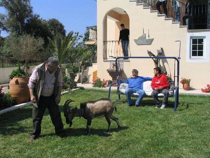 Gîte pour 2 personnes, avec vue ainsi que jardin et terrasse dans Soúgia - 4