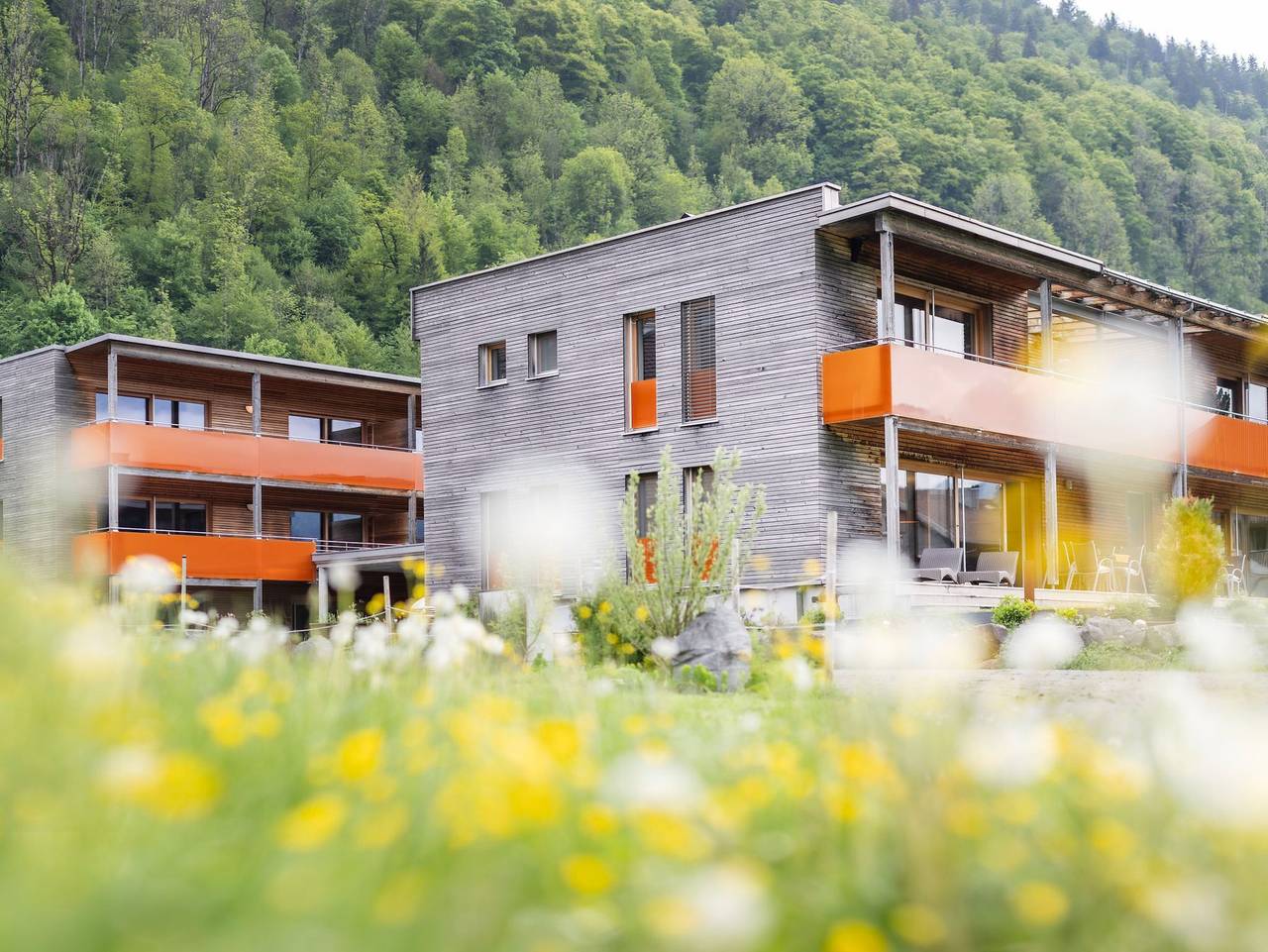 Ganze Ferienwohnung, Haus Sonne & Spa - Ferienwohnung Sonnenuntergang in Bizau, Bregenzerwald