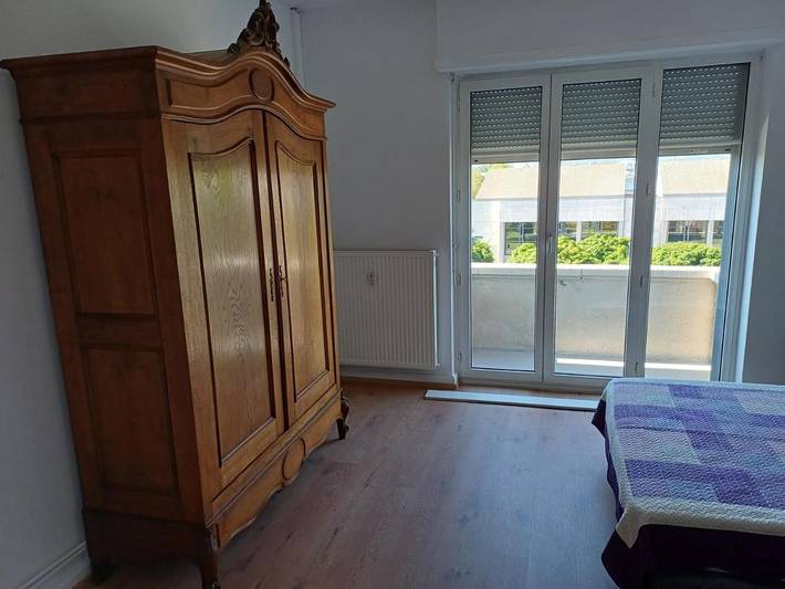 Gîte pour 7 personnes, avec balcon et vue, animaux acceptés à Huningue - 3