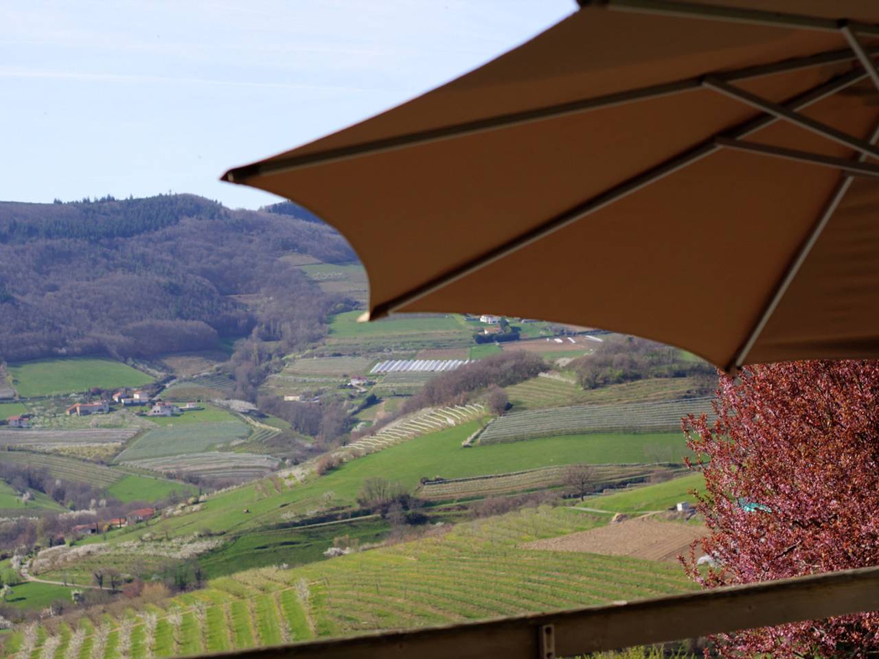 Gîte voor 4 personen met terras, foto 8