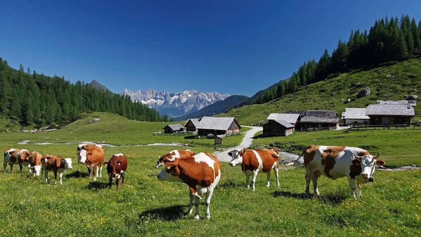 Ferienwohnung für 5 Personen, mit Balkon in Schladming-Dachstein - 2
