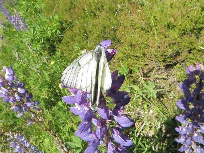 Pension für 2 Personen in Eibenstock - 2