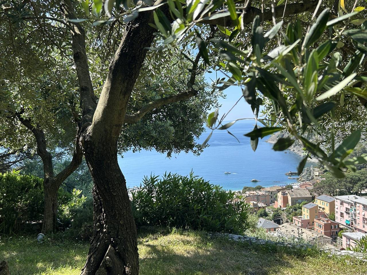 Villa Renata - amazing sea view, garden, terrrace in Monterosso al Mare Gemeinde, Cinque Terre