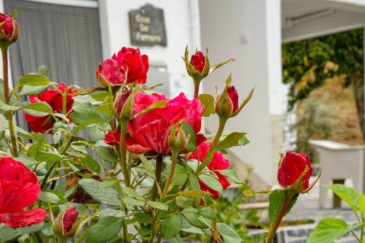 Location de vacances pour 2 personnes, avec vue ainsi que terrasse et jardin dans Góis