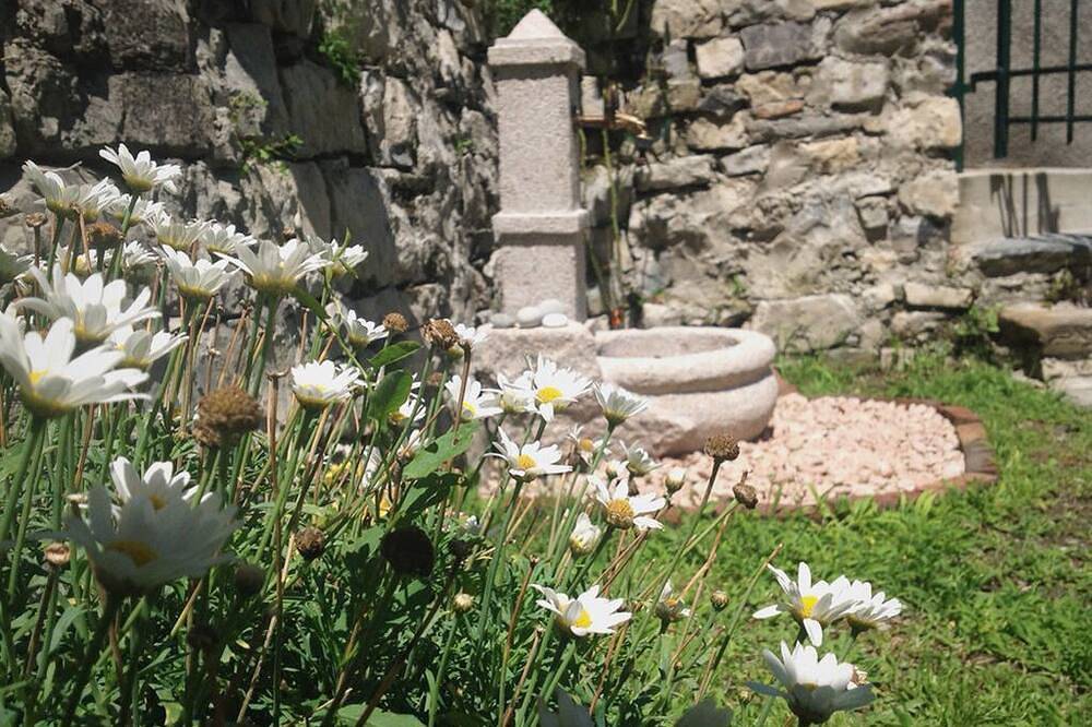 Prachtig uitzicht op het meer en de tuin, dicht bij Zwitserland in Albogasio, Valsolda