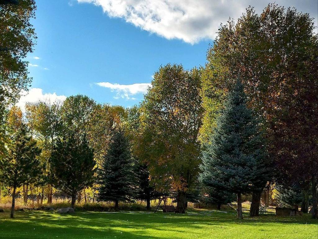 Komplett renoviertes Blockhaus an der Straße nach Yellowstone in Wapiti, Absaroka Range