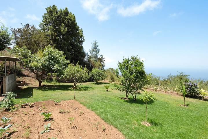 Ferienhaus für 2 Personen, mit Garten und Whirlpool auf Teneriffa Nord - 3