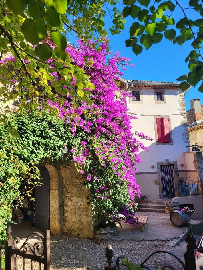 Gîte pour 6 personnes, avec Terrasse ainsi que Jardin et Piscine à Ornaisons