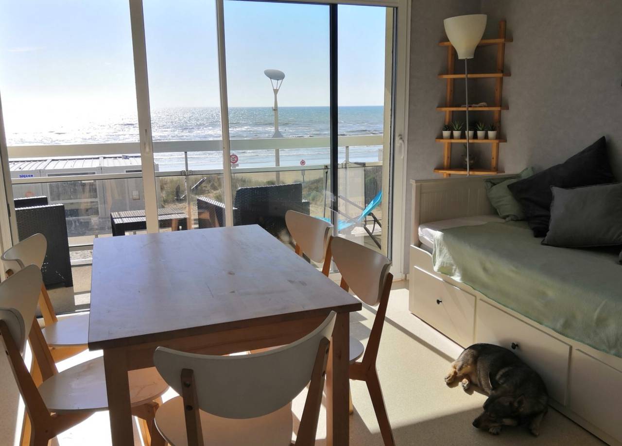 Studio entier, Studio "nid des marmettes" face à la mer in Hardelot Plage, Neufchâtel-Hardelot