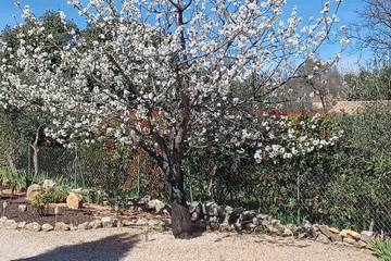 Chambre d’hôte pour 2 personnes, avec jacuzzi et piscine à Flayosc