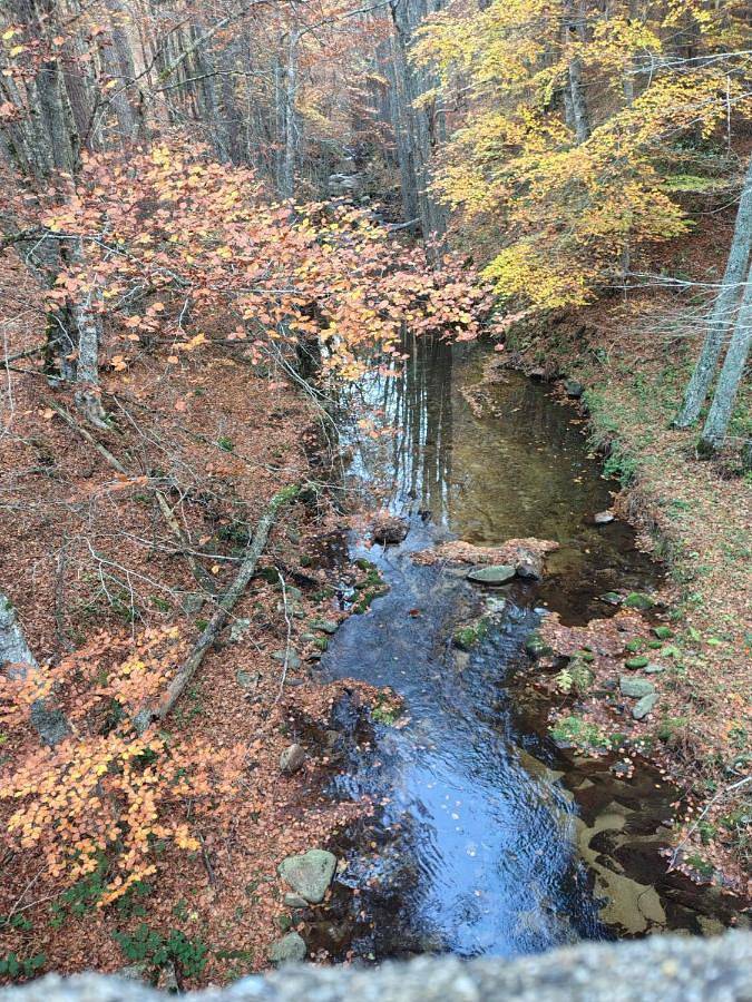Gîte pour 5 personnes, avec terrasse ainsi que jardin et vue à San Giovanni in Fiore - 4