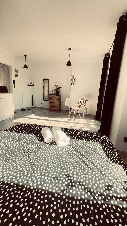 Apartament wakacyjny dla 3 osób, z balkon i widok, zwierzęta dozwolone w Cieszyn