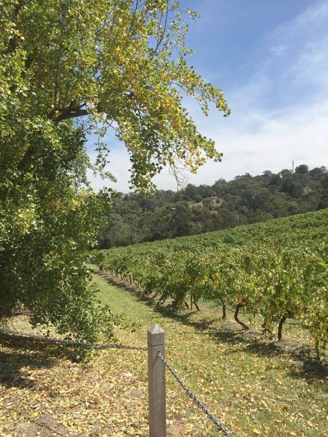 Villa pour 2 personnes, avec jardin et vue dans Victoria - 2