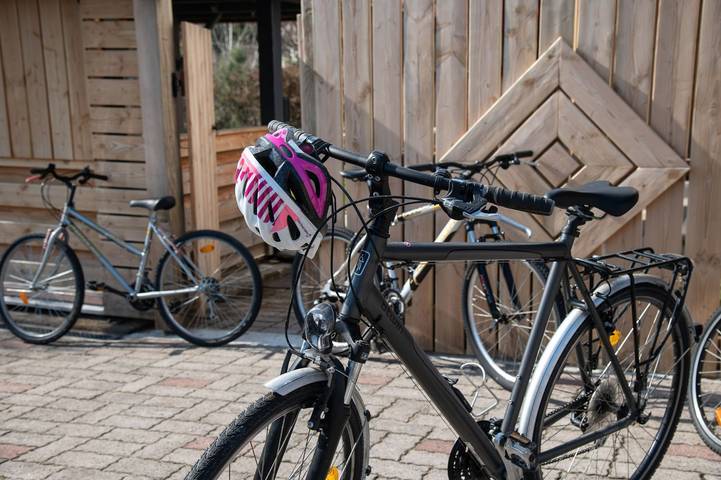 Gîte pour 10 personnes, avec sauna ainsi que terrasse et jardin à Saulxures-sur-Moselotte - 4