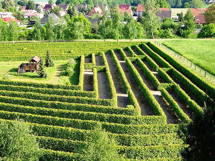 Ferienwohnung für 3 Personen, mit Terrasse in Dargun - 4