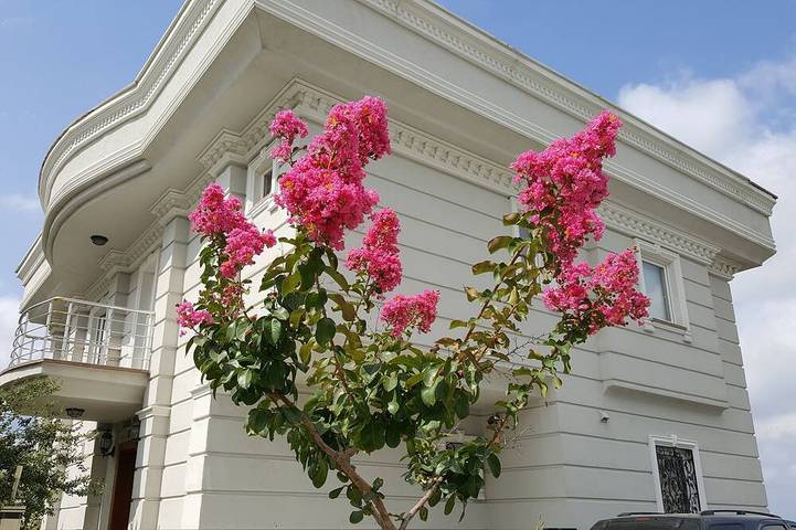 Raya Wonderful Sea View, Swimming Pool And City Center..8+1 500 Sq Private Villa in Büyükçekmece, Marmararegion