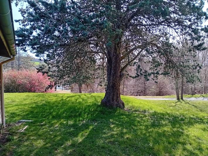 Location de vacances pour 6 personnes, avec jardin, adapté aux familles à Saint-Rémy-sur-Durolle - 3