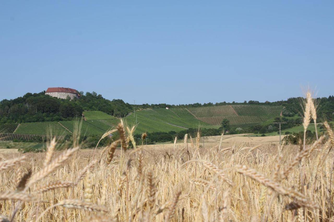 Ganze Wohnung, Schwarzer Adler - Ferienwohnung Storchennest in Ipsheim, Steigerwald