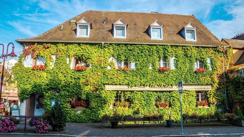 Hôtel pour 2 personnes, avec terrasse dans Vieux Brisach - 3