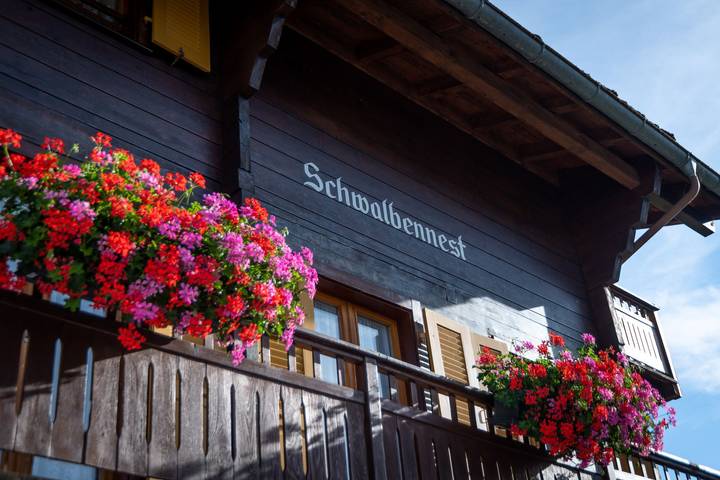 Ganze Ferienwohnung, Chalet Ferienwohnungen Schwalbennest Moos Grächen - 8-Bettwohnung, 1224 in Grächen, Walliser Alpen