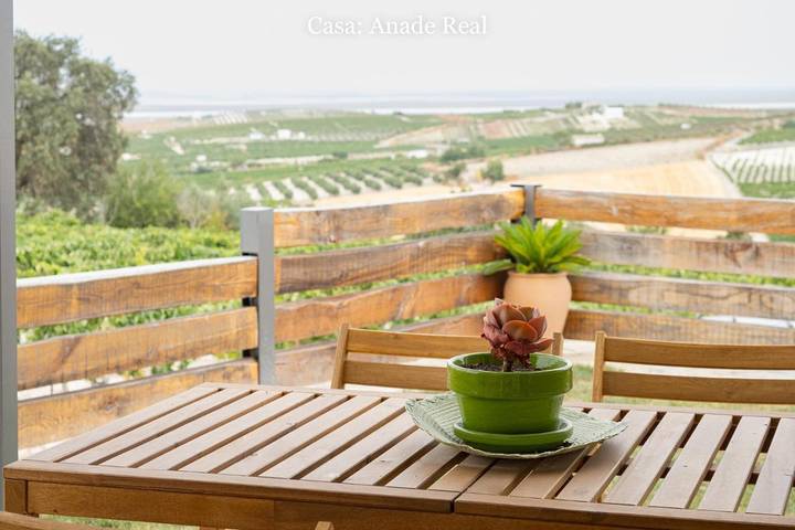 Casa rural para 6 personas, con terraza además de piscina y vistas en Trebujena - 4